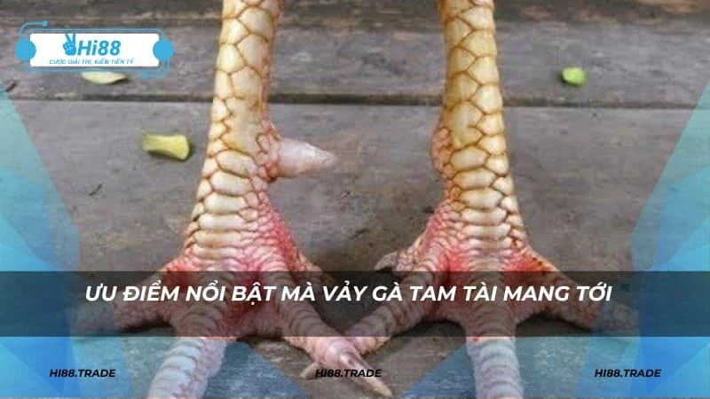 Ưu điểm nổi bật mà vảy gà Tam Tài mang tới